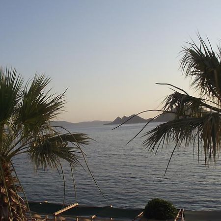 Ado Beach Hotel Turgutreis Exteriör bild